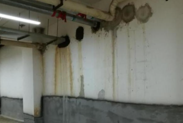 地下室墻面受潮通病咋解決？深入剖析成因與綜合治理方案